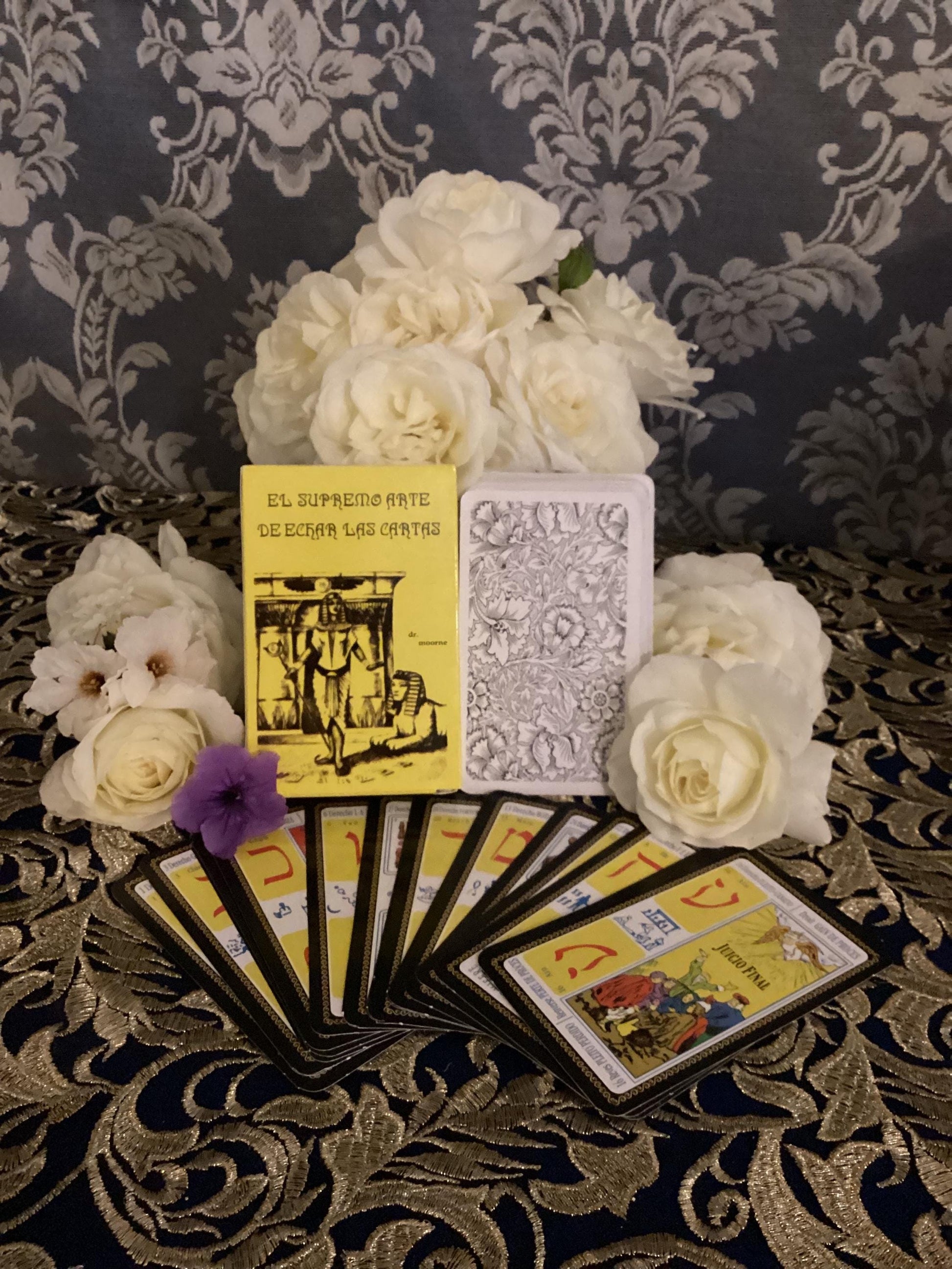 RARE El Supremo Arte de Echar las Cartas + Tarot Egipcio + New Book & Cards + From Mexico + Libro y Cartas + Fortune-Telling Cards + Blessed