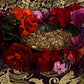 Black Arts Herbs + Spirit Pacts + Necromancy + Destroy Enemies + Dark Arts + Blessed