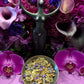Samhain Herbs + Ancestors + Blessed
