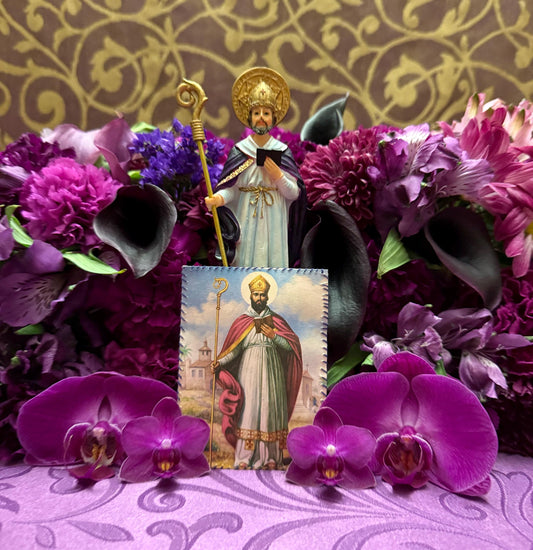 Saint Cyprian Amparo + Protection + Santa Muerte