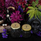 Santa Muerte Negra Incense + Protection + Reverse Negativity + Remove Obstacles + Break Curses + Overcome Enemy + Destroy Evil + Necromancy