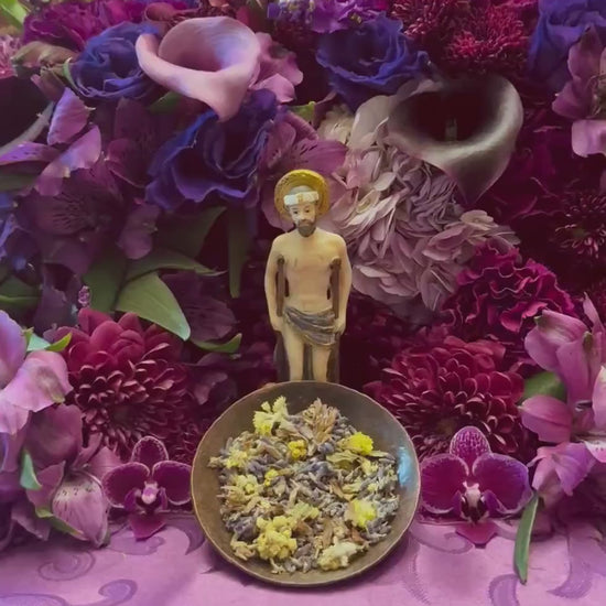Saint Lazarus Herbs + Healing + Blessed + San Lazaro