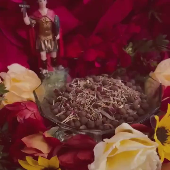 Saint Expedite Herbs + San Expedito + Expeditus + Fast Luck + Money + Saint Expedit + Expedee + Blessed