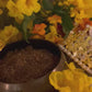 Sun Incense & Powder + Success + Wealth + Victory + Royalty + Fame + Health + Fatherhood