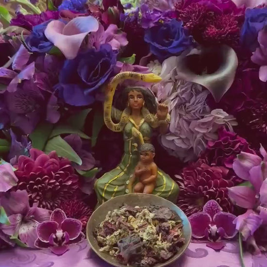 Filomena Lubana Herbs + Domination + Santa Marta la Dominadora + Marta la Culebra + Saint Martha the Dominator + Dominatrix + Blessed
