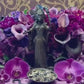Hecate Herbs + Queen of Witches