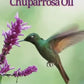 AUTHENTIC Chuparrosa Oil! Wildcrafted Ingredients! Traditional Brujeria + Chuparosa + Sweet Love + Friendship