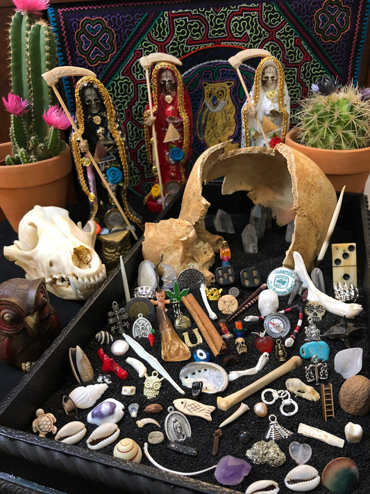 Santa Muerte Bone, Shell, and Trinket Divination Collection™ (99 pieces)