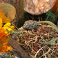 Road Opening Herbs + Abre Camino + Candle Dressing