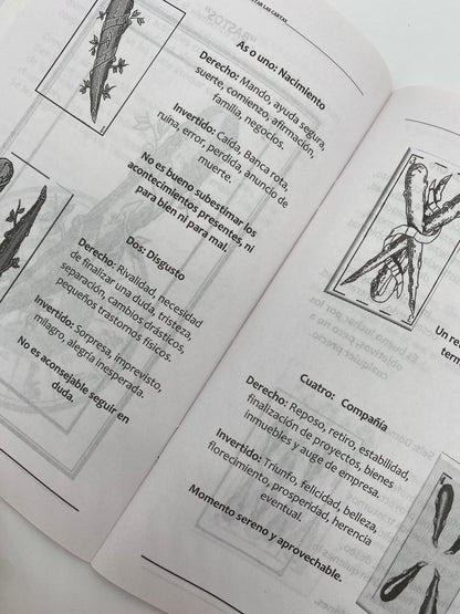 ¡El arte de interpretar las cartas! ¡Aprende a leer la baraja española! *NUEVO LIBRO* ¡Incluye baraja española!