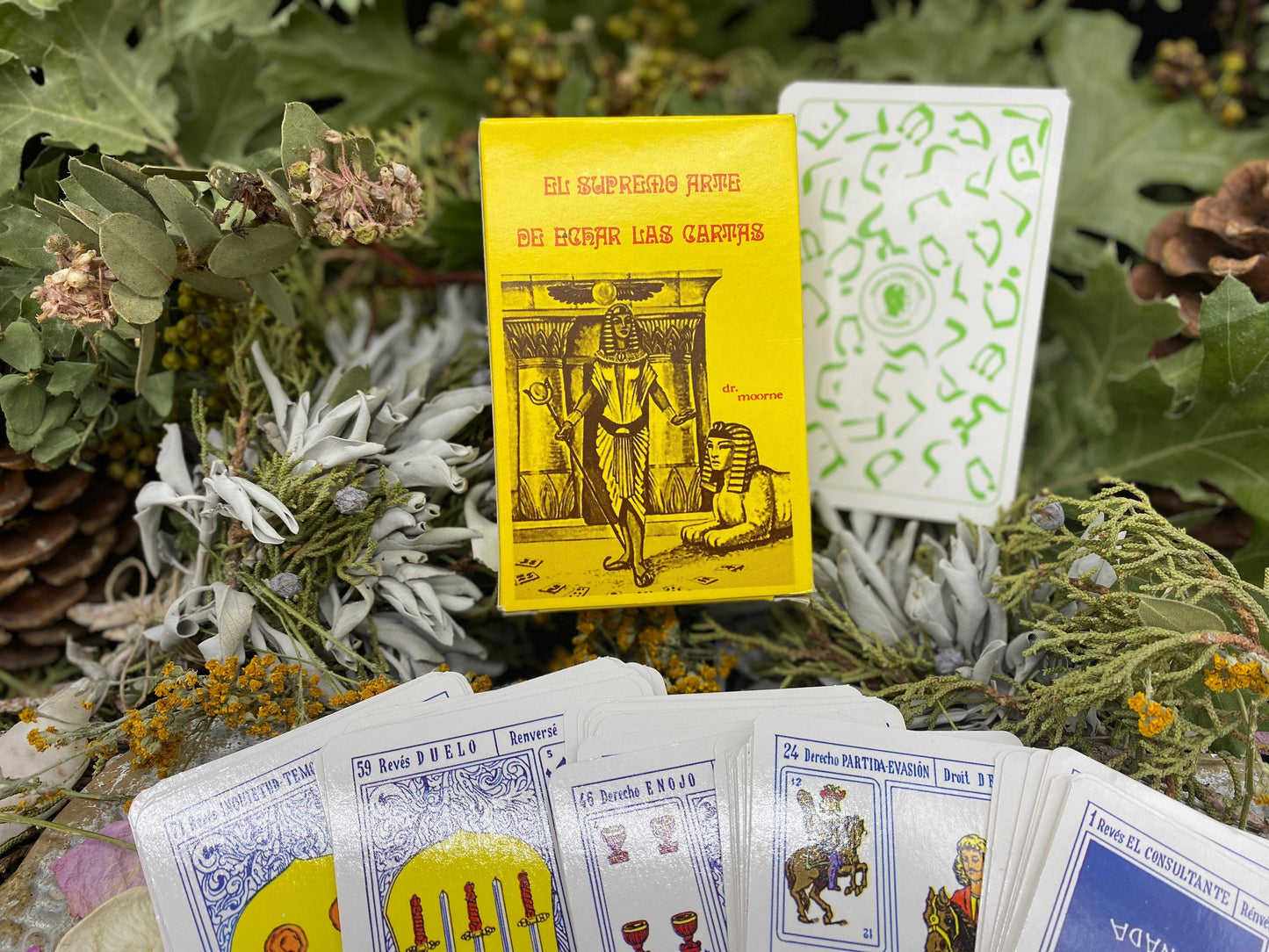 Tarot Egipcio + El Supremo Arte de Echar las Cartas + Blessed + Fortune-Telling Deck + From Mexico