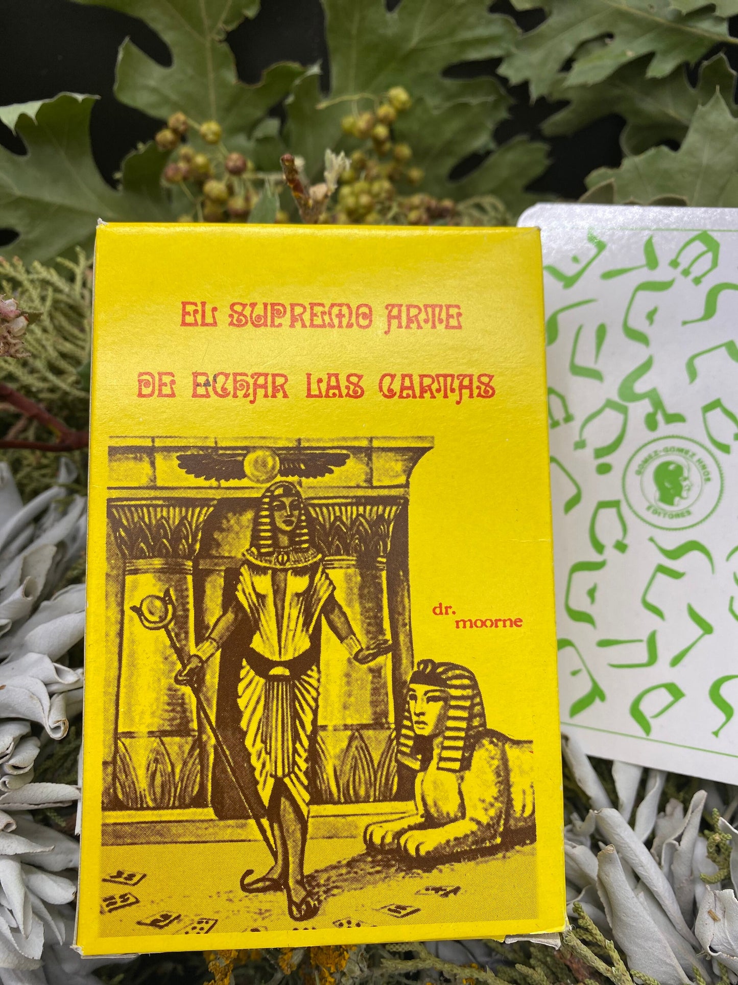 RARE Tarot Egipcio y Libro + El Supremo Arte de Echar las Cartas + Blessed + Fortune-Telling Deck + From Mexico