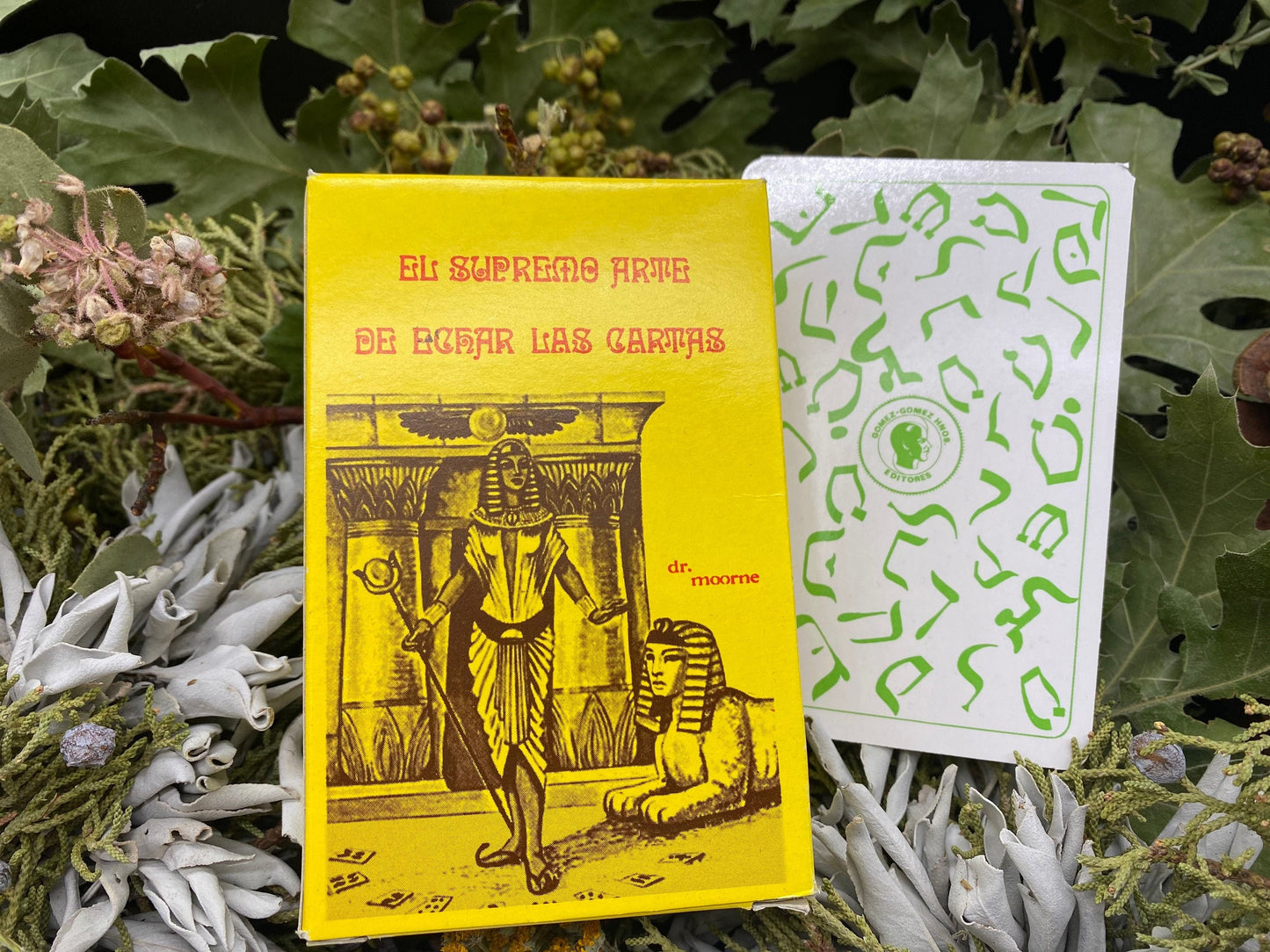 RARE Tarot Egipcio + El Supremo Arte de Echar las Cartas + Blessed + Fortune-Telling Deck + From Mexico