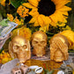 Three Wise Skulls Candle Set + Hear No Evil + See No Evil + Speak No Evil + Stop Jealousy & Gossip + Hide Spells + Santa Muerte