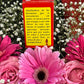 Muerte de la Pasion Jabon + Santa Muerte Roja Soap + Love + Passion + Made in Mexico + Scented