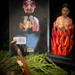 El Libro de Las Brujas + From Mexico *NEW BOOK*