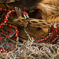 Santa Muerte Roja Evil Eye Rosary de Hilo + Handcrafted + Rosario