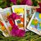 Tarot con la Santisima Muerte + Blessed + Booklet & Cards + From Mexico (Spanish Edition) + New