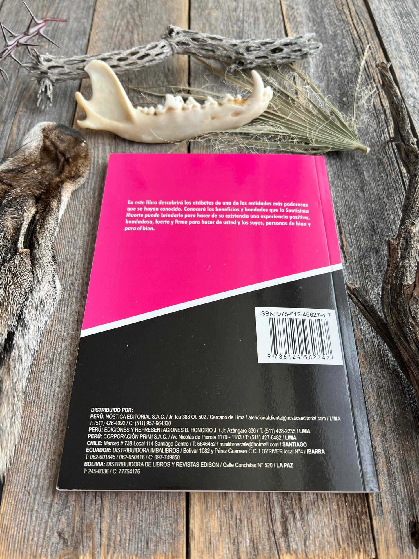 El Libro de La Santa Muerte + New Book From Mexico