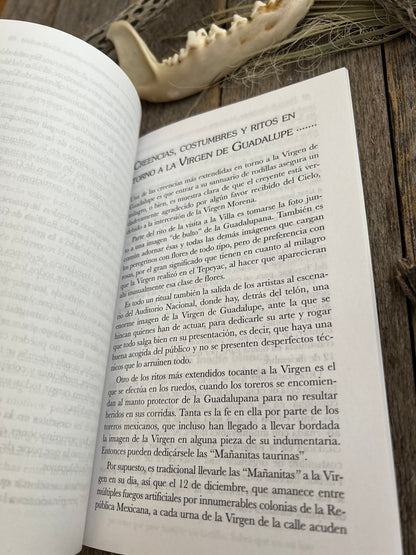 Guadalupe: Minha Mãe + Livro novo do México