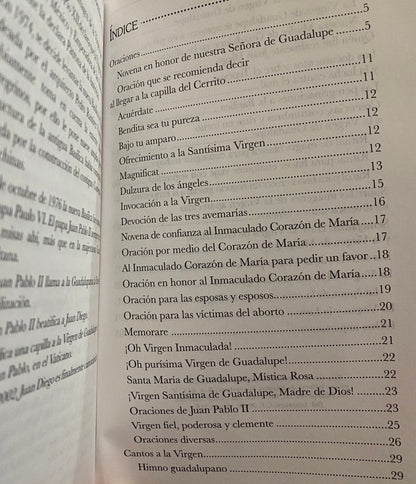 Guadalupe: Minha Mãe + Livro novo do México