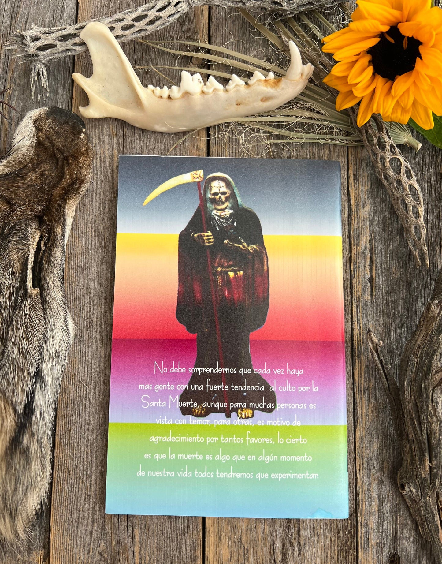 El Libro de La Santa Muerte + New Book From Mexico