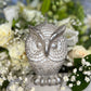 Owl Candle