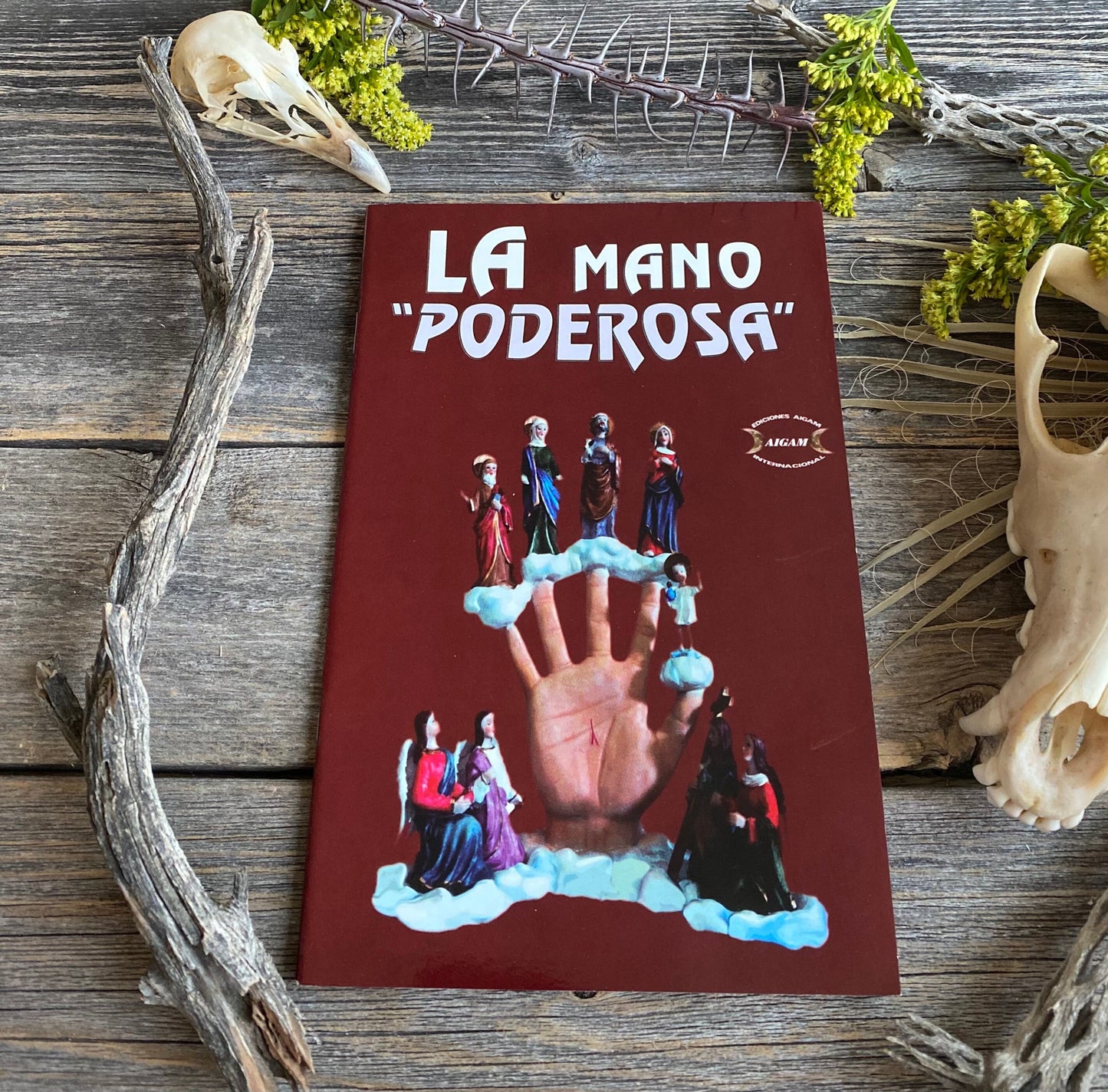 La Mano Poderosa + From Mexico *NEW BOOK* Libro