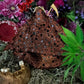 Santa Muerte Cobre Statue with Dress + Copper + Baptized + Fixed + Fast Luck + Made in Mexico