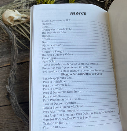 Santería: Los Santos, Guerreros en Ifa + NOVO LIVRO do México + Livro
