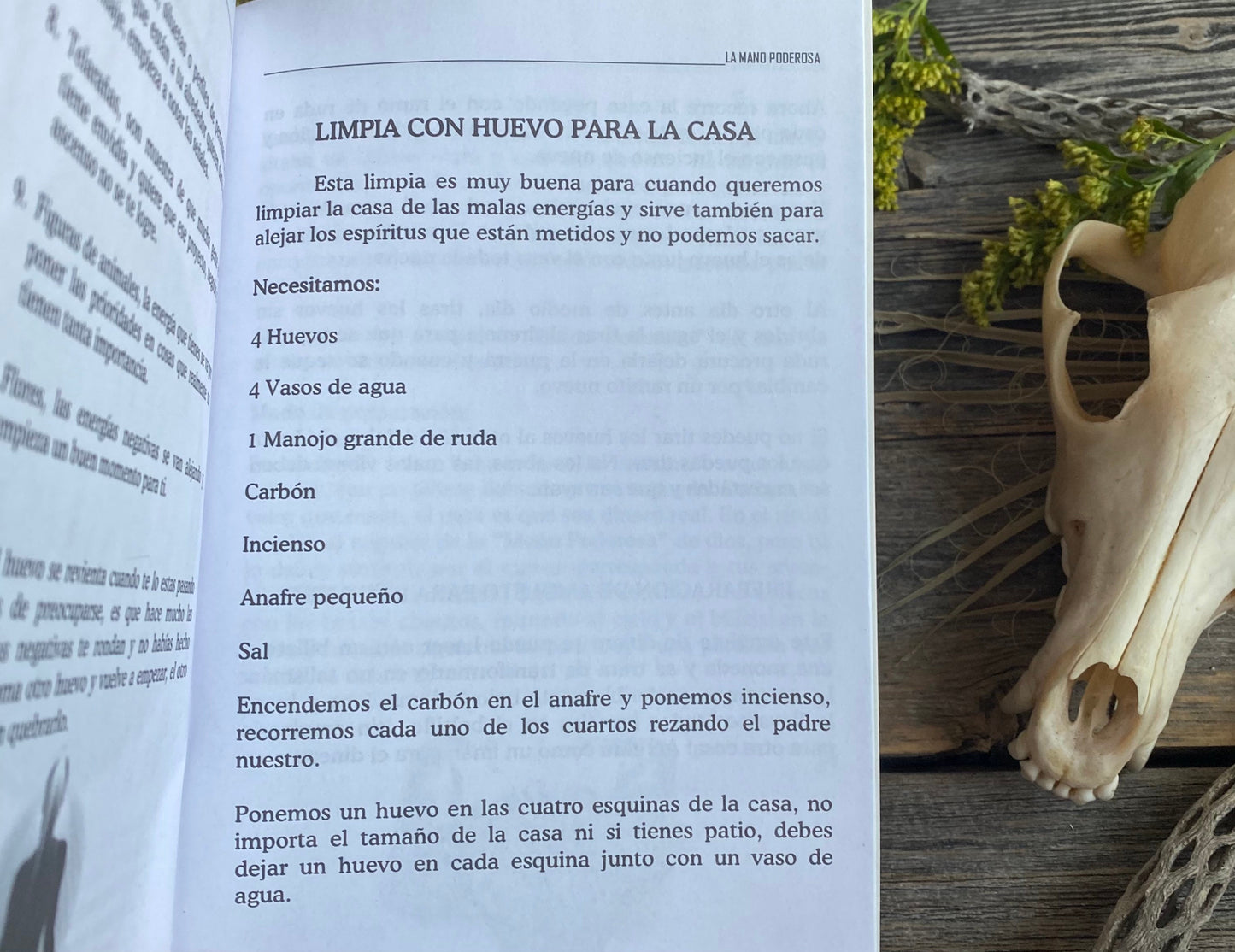 La Mano Poderosa + From Mexico *NEW BOOK* Libro