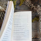Su Majestad y Su Poderoso Culto + Libro *NEW BOOK*